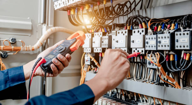 Best Electrician for Home Renovation  in Holloman Af, NM
